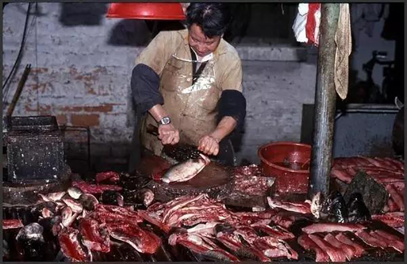何老板萬(wàn)萬(wàn)沒(méi)想到，自己的餃子云吞店開(kāi)業(yè)的第一天就門(mén)庭若市